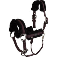 BR Halfter AW25 Eevolv Jonne Raisin