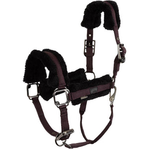 BR Halfter AW25 Eevolv Jonne Raisin