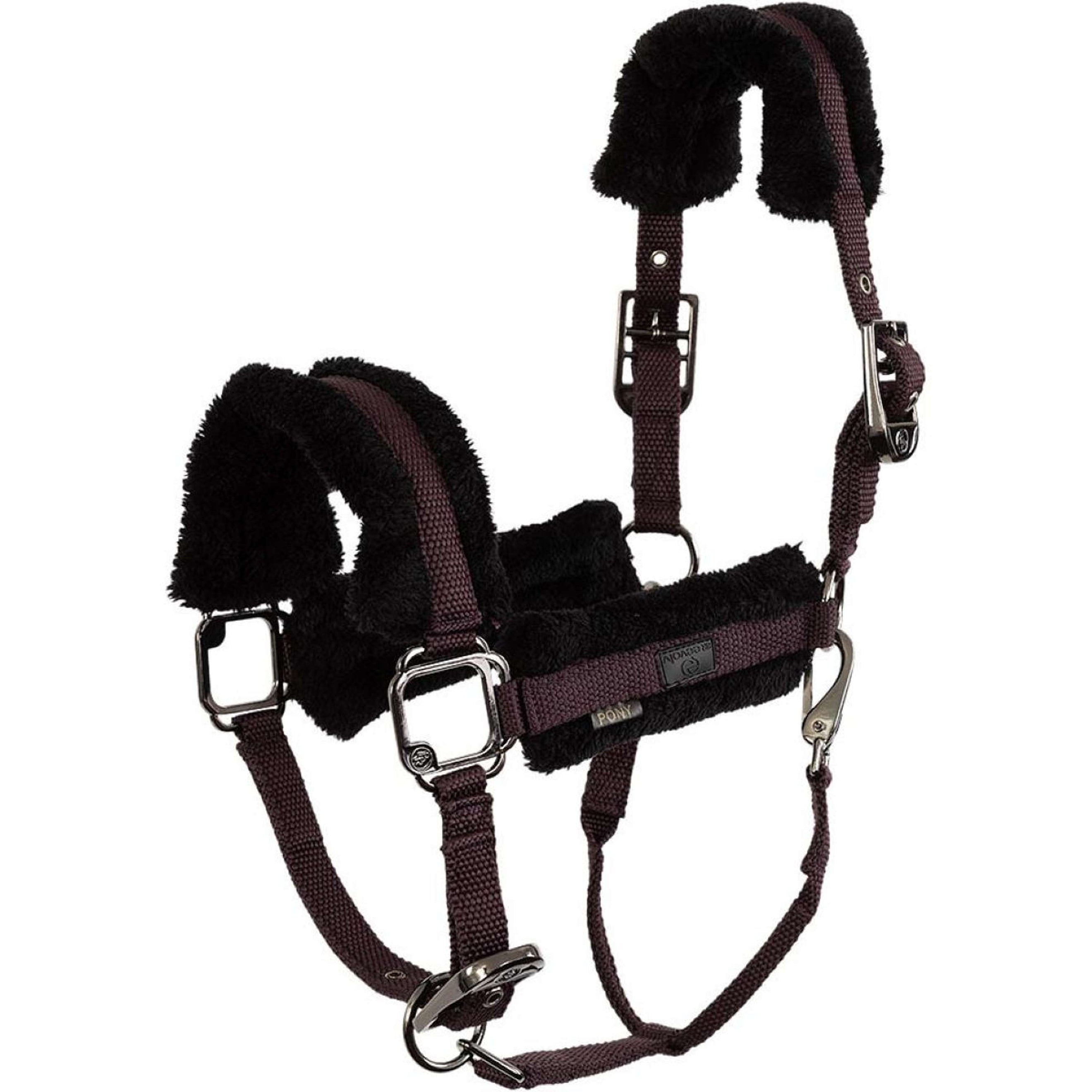 BR Halfter AW25 Eevolv Jonne Raisin BR Halfter AW25 Eevolv Jonne Raisin