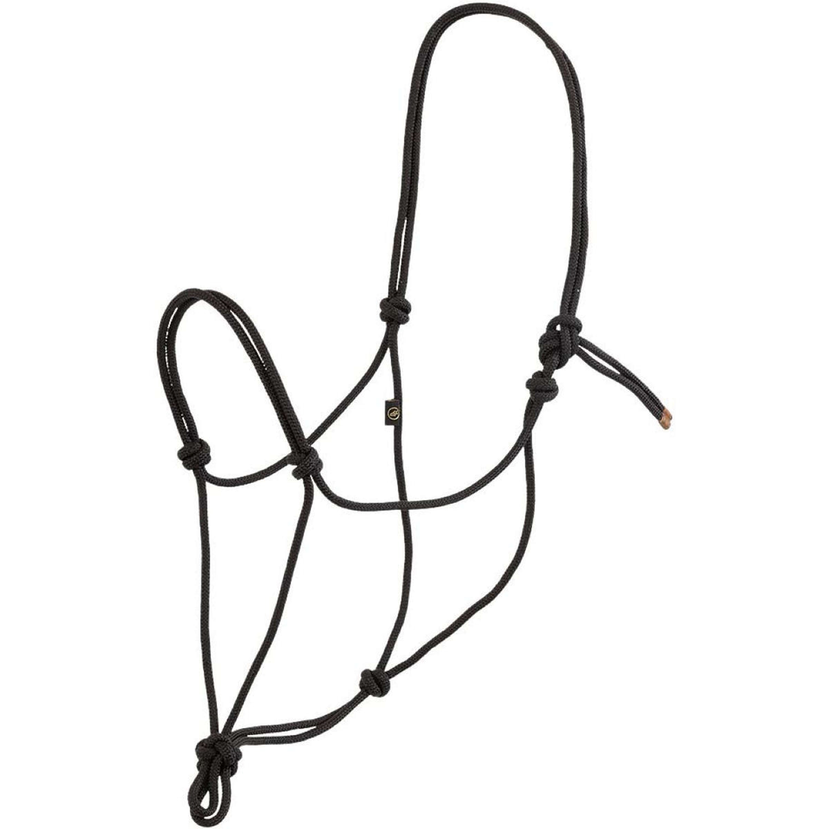 BR Knotenhalfter Meteorite