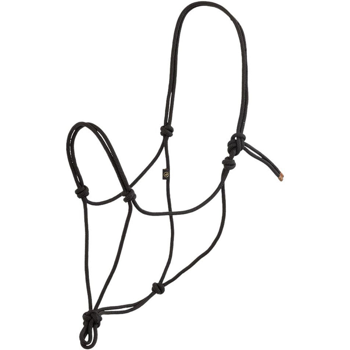 BR Knotenhalfter Meteorite