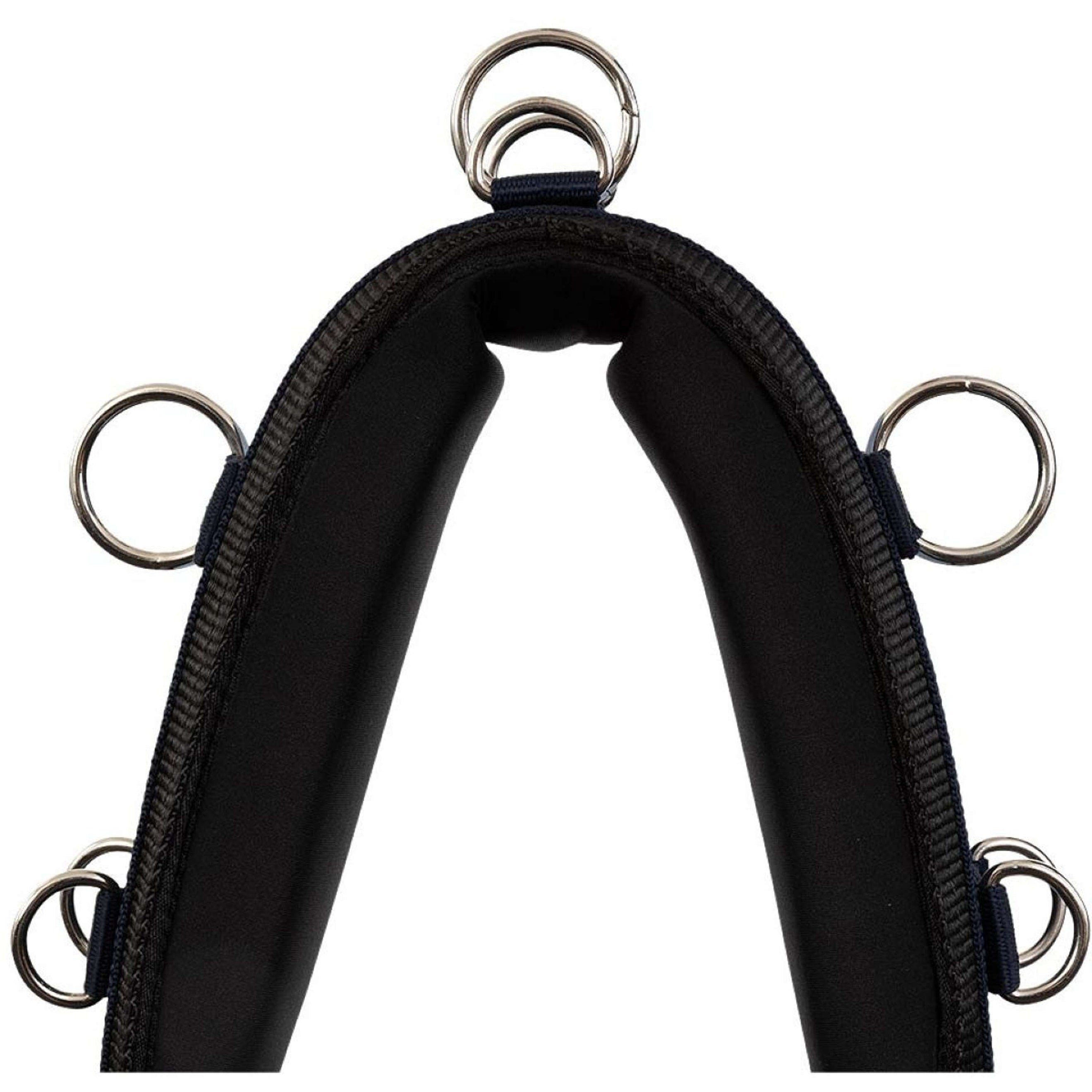 Premiere Longiergurt PP Neopren Kissen Navy