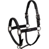 ANKY Halfter Victory ATH25001 Schwarz