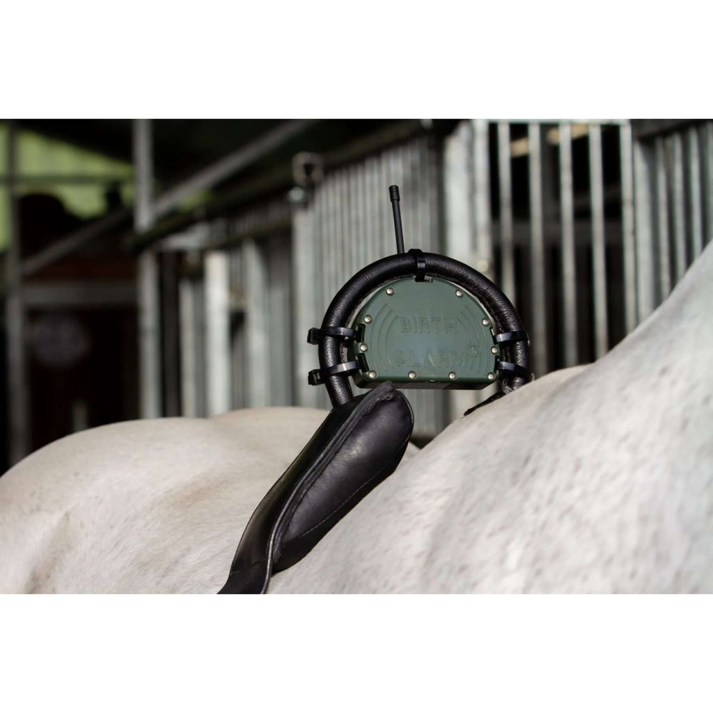 Birth Alarm Antirollgurt Komplett