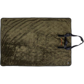 Back on Track Beheizte Decke