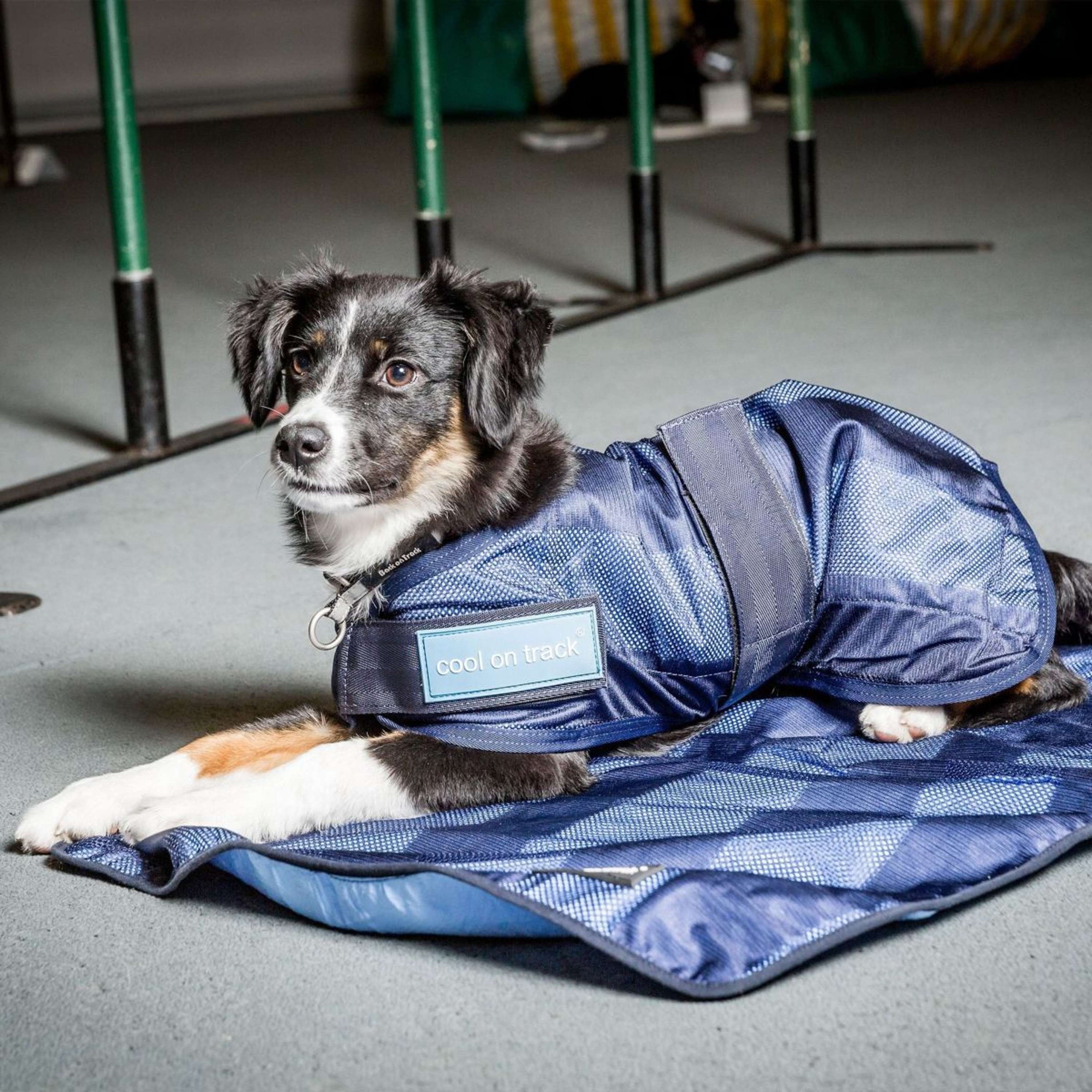 Back on Track Cooling Towel Blau Back on Track Cooling Towel Blau