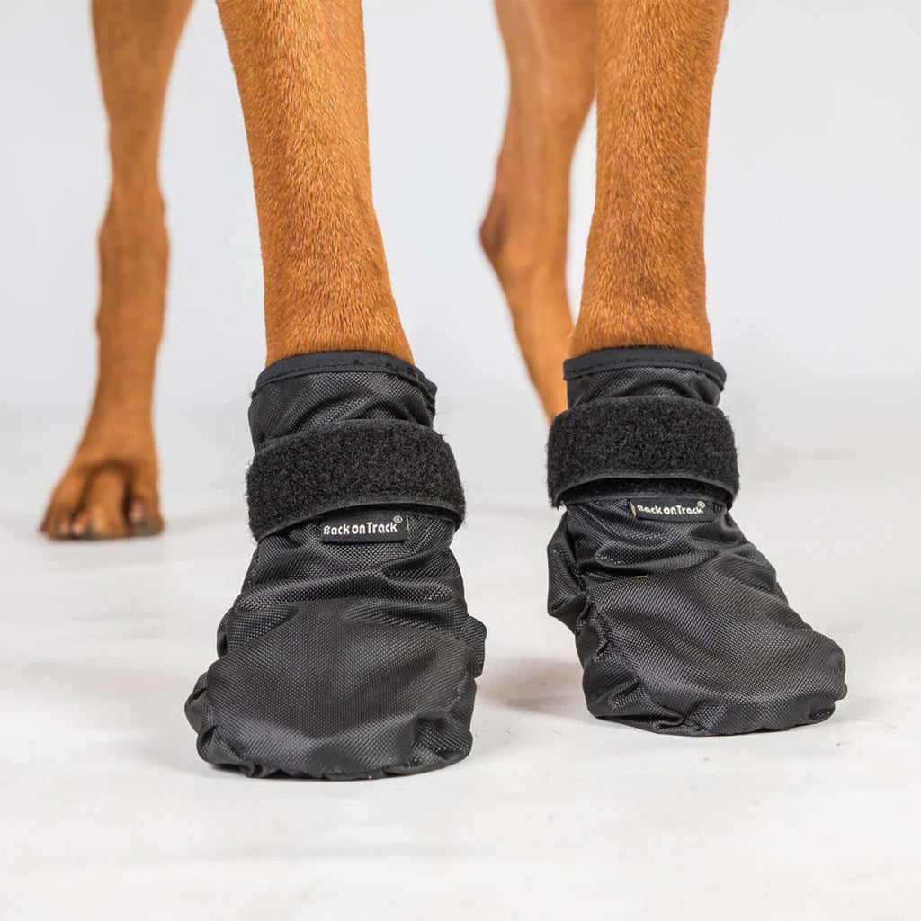 Back on Track Hundeschuhe Koda Schwarz