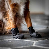 Back on Track Hundeschuhe Koda Schwarz