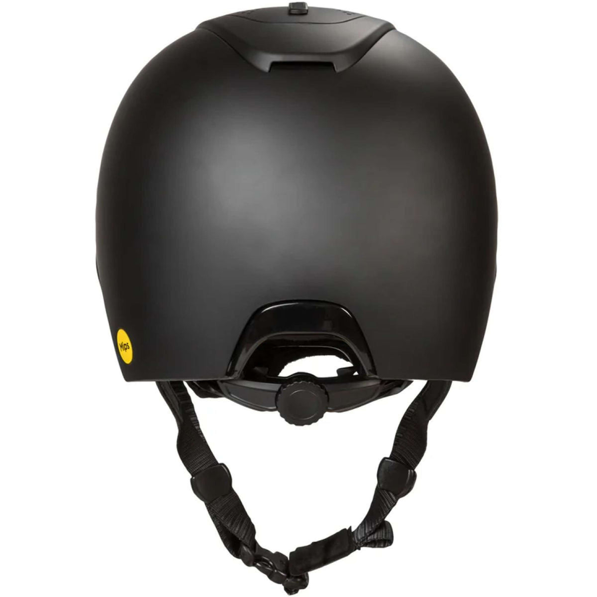 Back on Track Reithelm Strixx Matt Schwarz