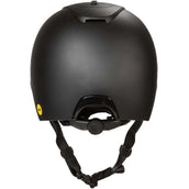 Back on Track Reithelm Strixx Matt Schwarz