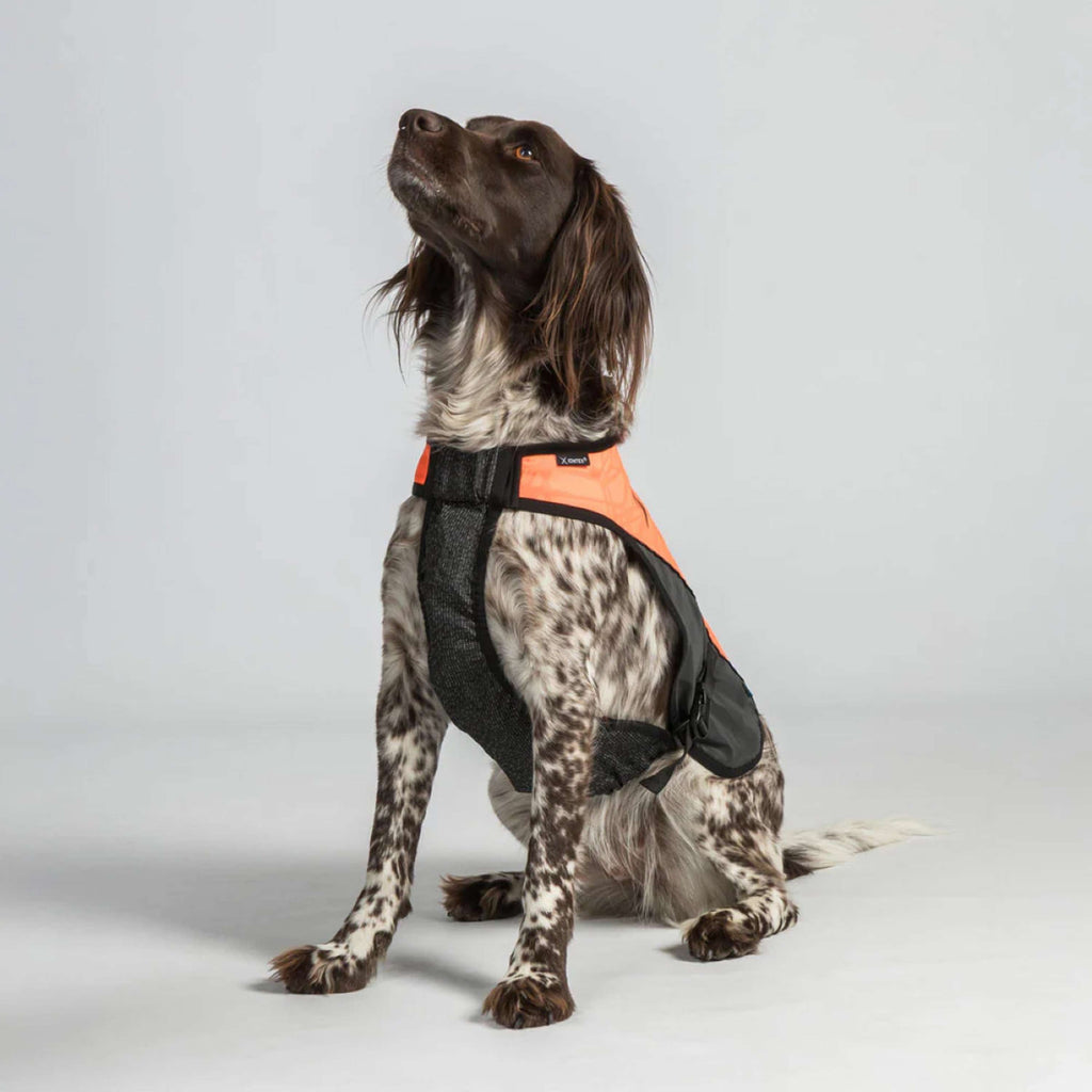 Back on Track Hundejacke TRAKK Reflektierend Orange