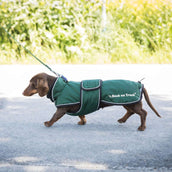 Back on Track Hundejacke Buddy Grün