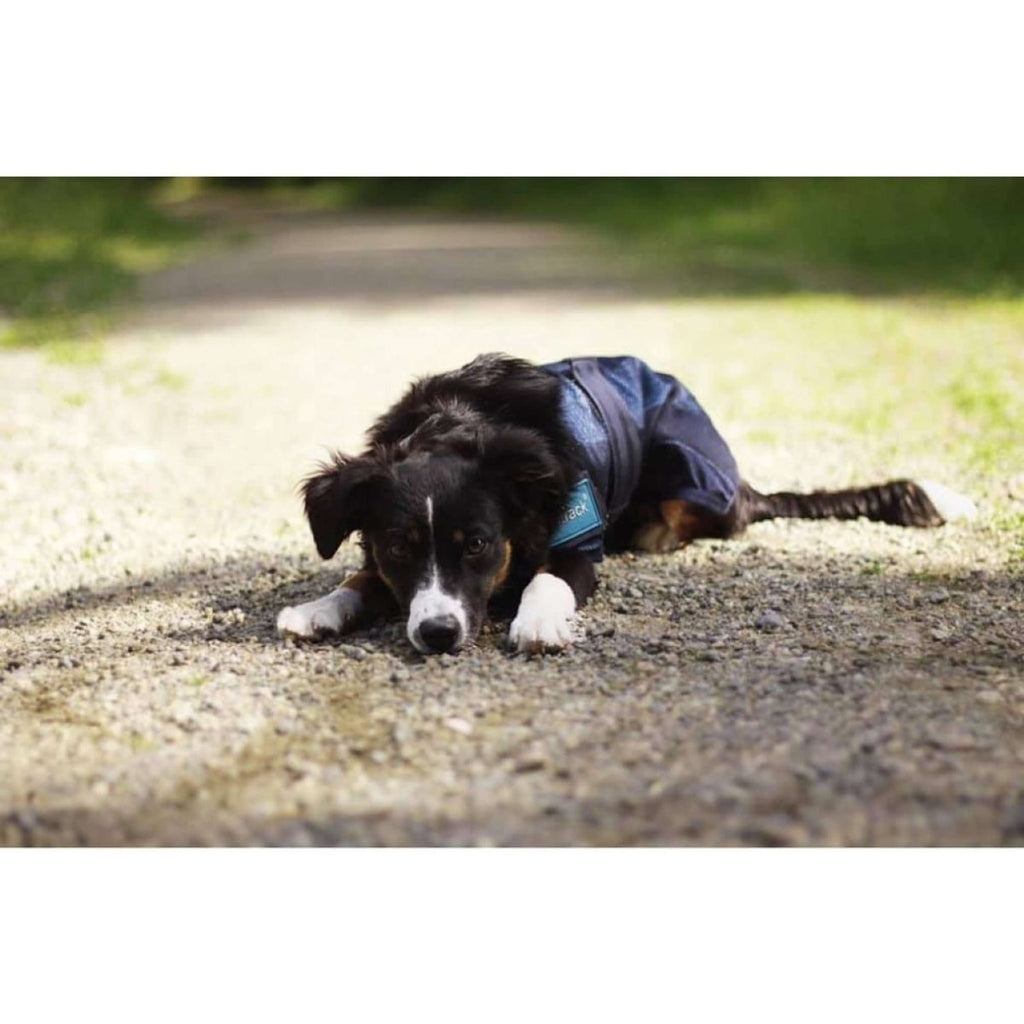 Back on Track Cooling Rug Blau