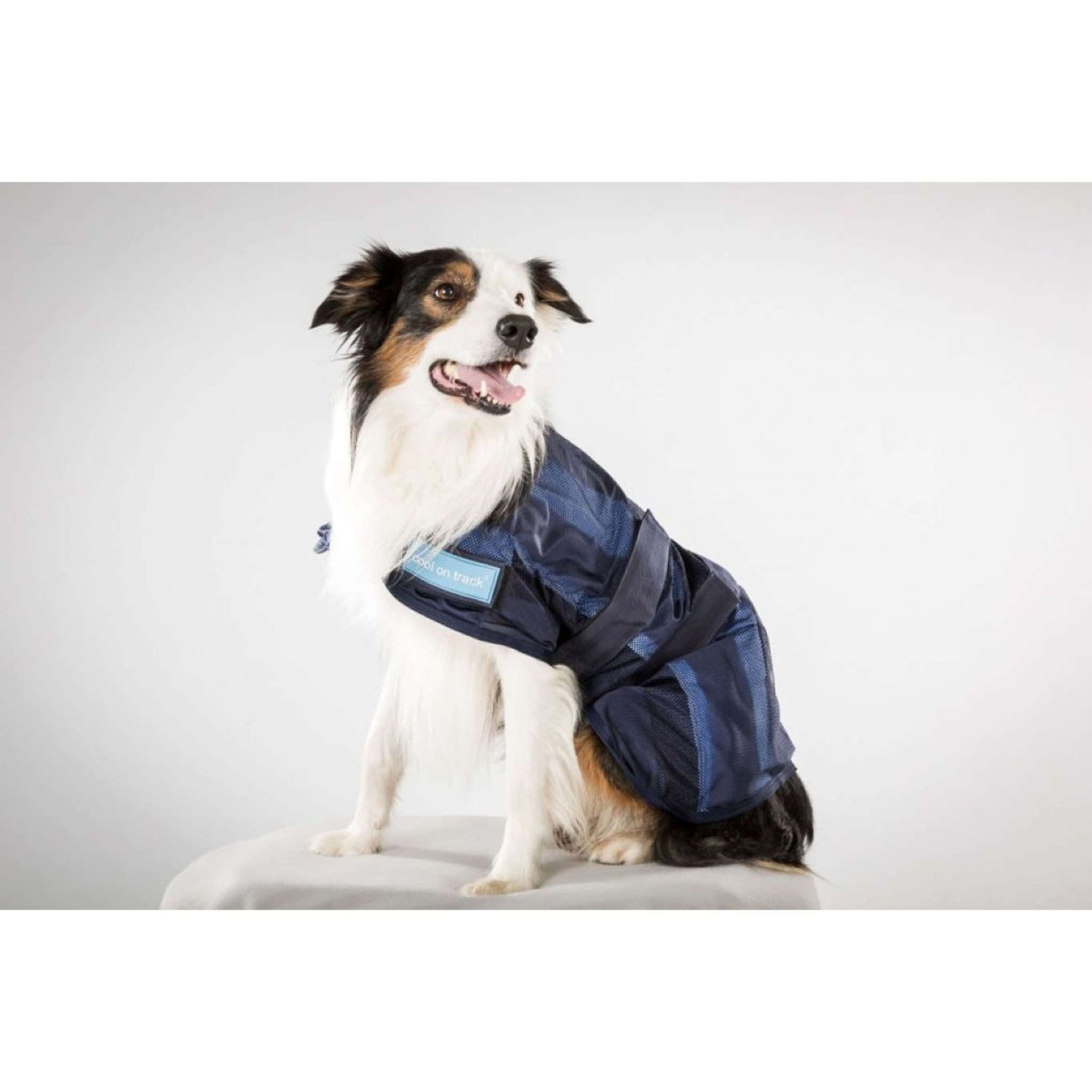 Back on Track Cooling Rug Blau Back on Track Cooling Rug Blau