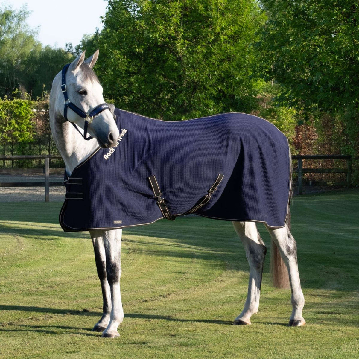 Back On Track Cooler Quick Blau