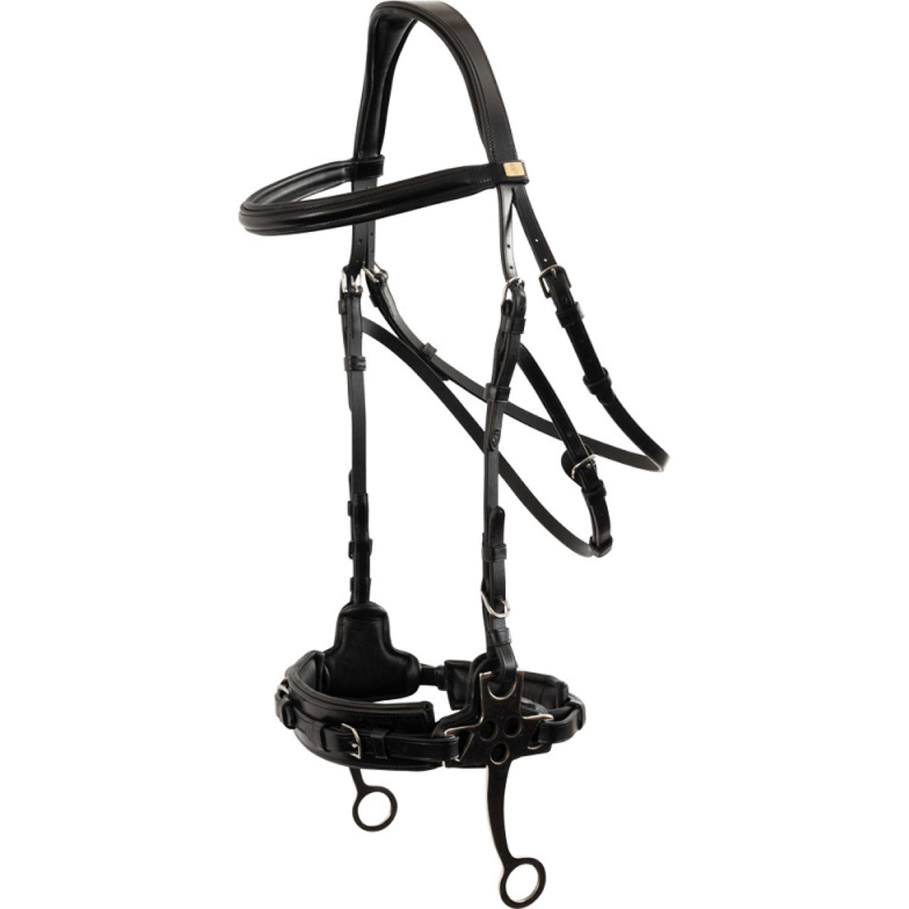 BR Hackamore Thornbury Schwarz/Silber