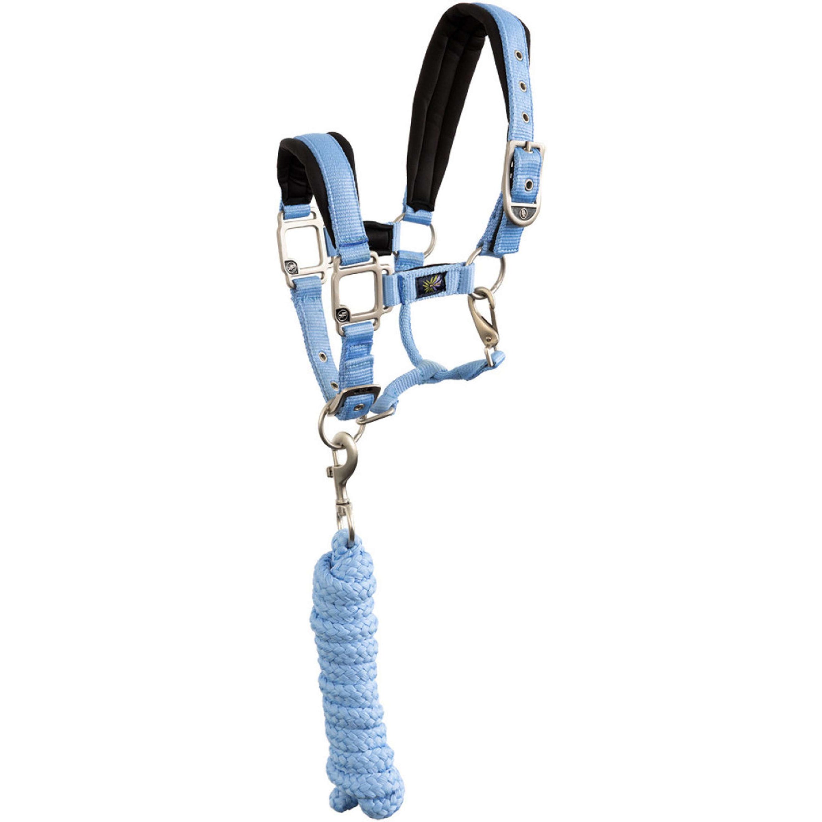 BR Halfterset Mini Horse Little Blue