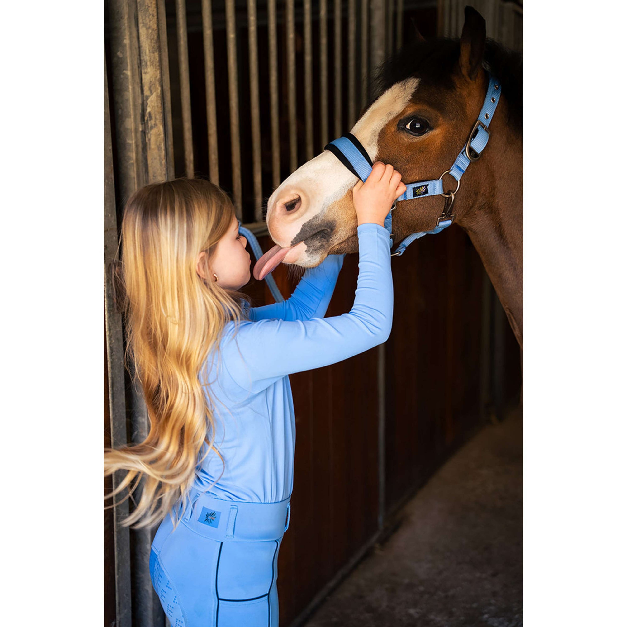 BR Halfterset Mini Horse Little Blue BR Halfterset Mini Horse Little Blue