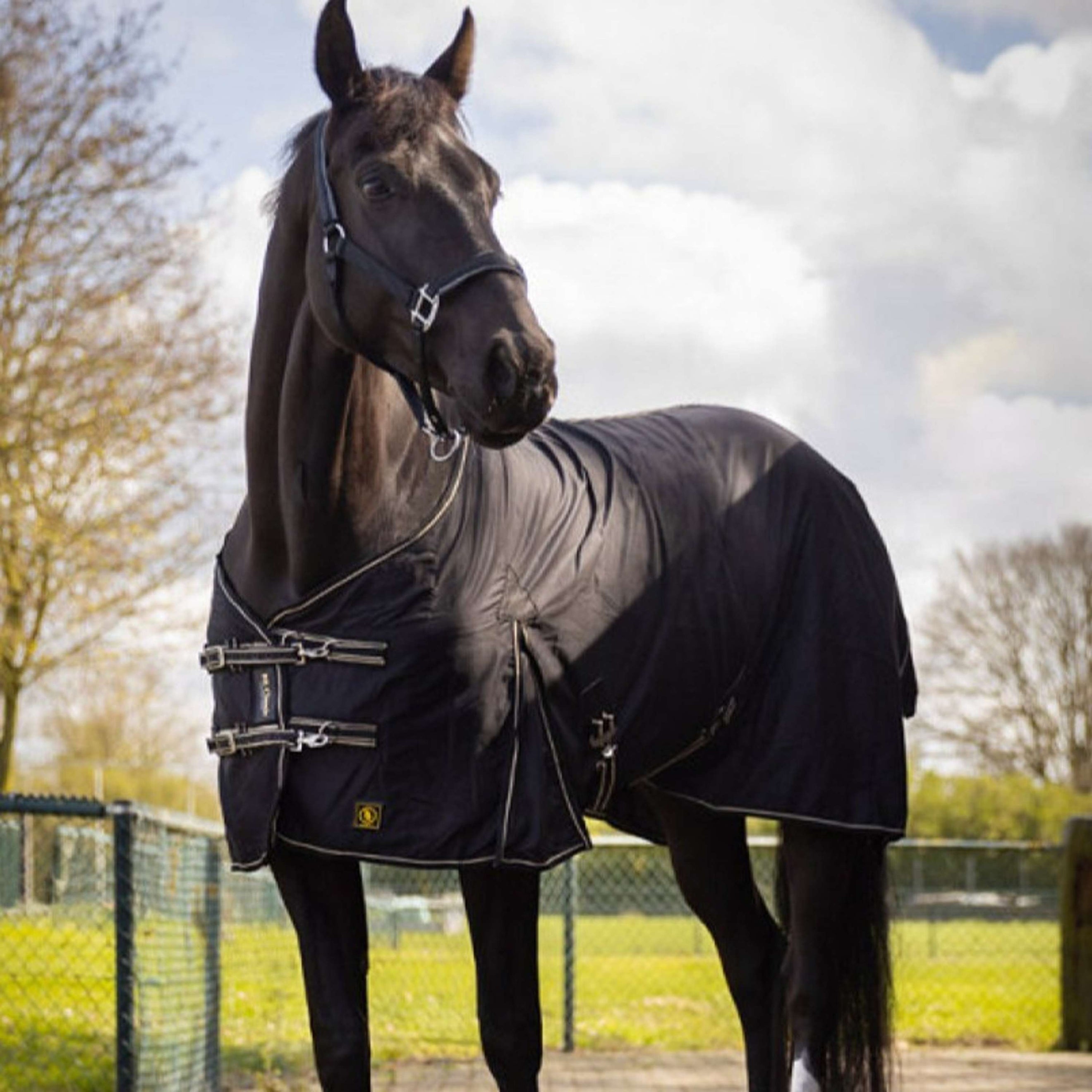 BR Decke Classic Baumwolle Schwarz