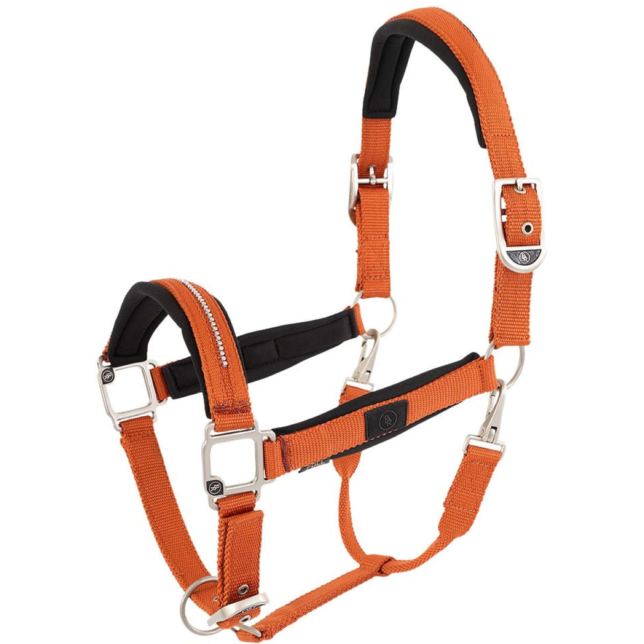 BR Halfter Kimberly Neopren Mecca Orange BR Halfter Kimberly Neopren Mecca Orange