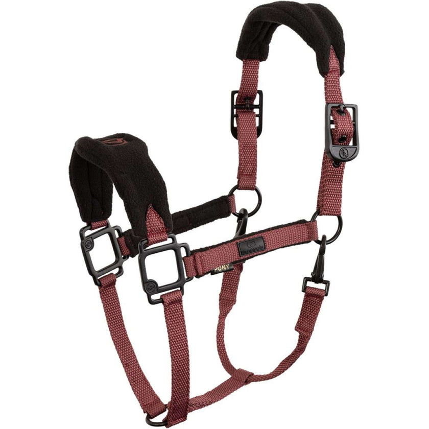 BR Halfter Eevolv Lavina Maroon BR Halfter Eevolv Lavina Maroon