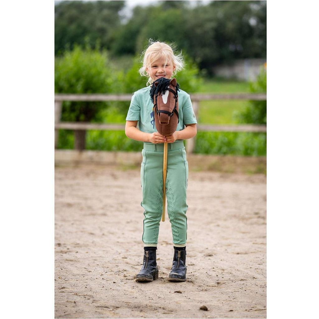 BR Mini Horse Steckenpferd Braun