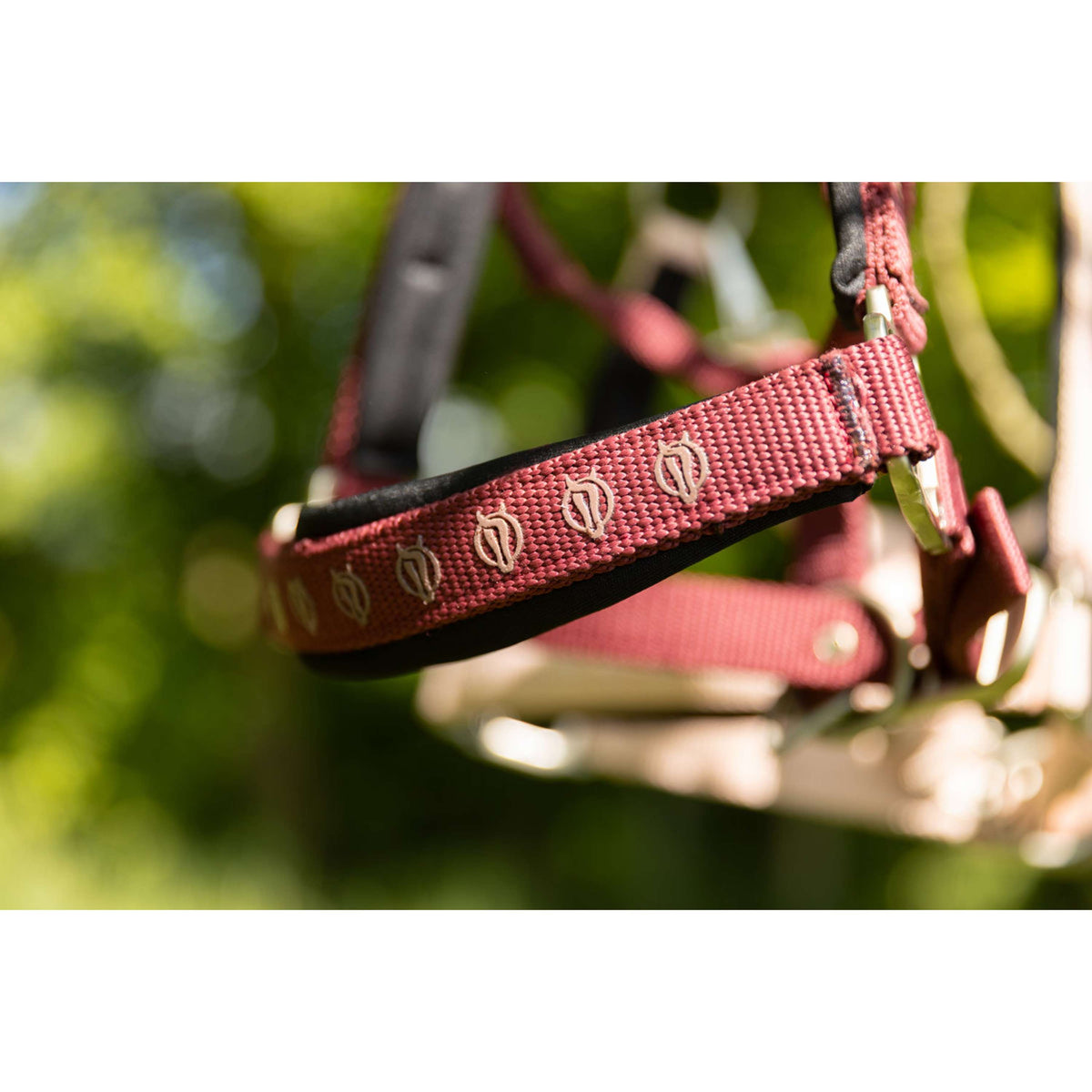 BR Halfter Eevolv Karin New Maroon