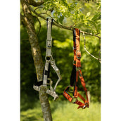 BR Halfter Kimberly Neopren Mecca Orange