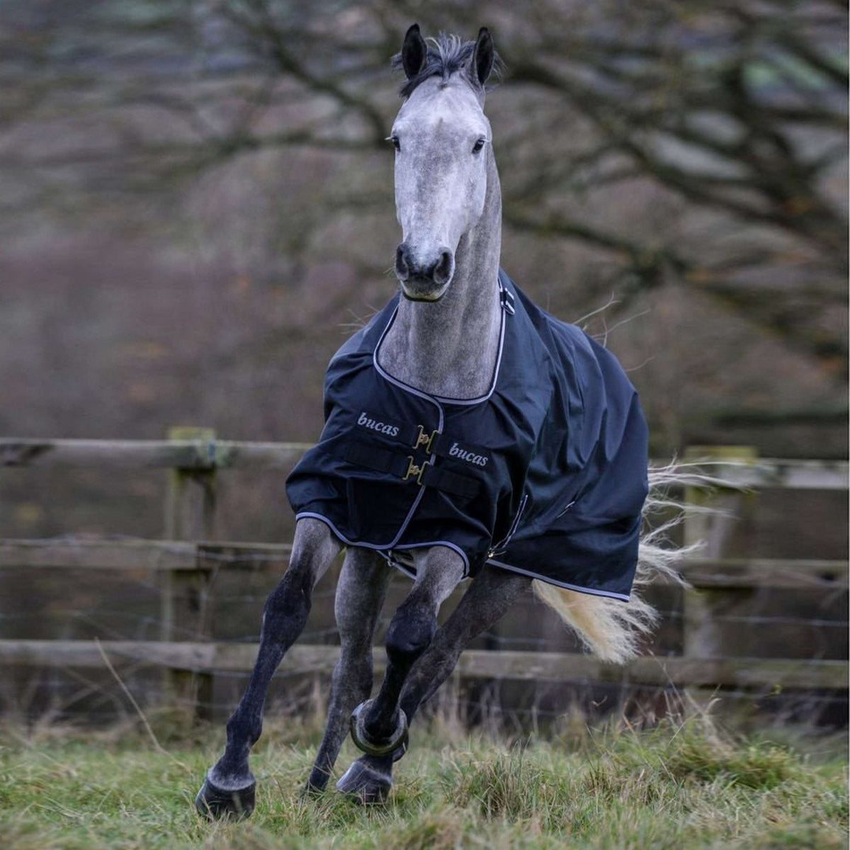 Bucas Trotting Turnout 200g Schwarz/Weiß