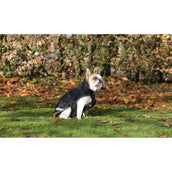 Bucas Hundedecke Freedom Schwarz/Taupe