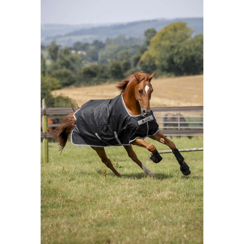 Bucas Anniversary Turnout Dermo-care 50g Sapphire