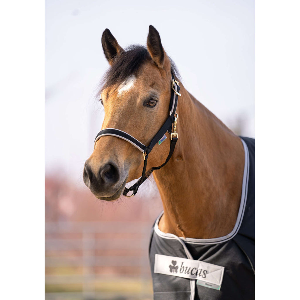 Bucas Anniversary Turnout Dermo-care 50g Sapphire