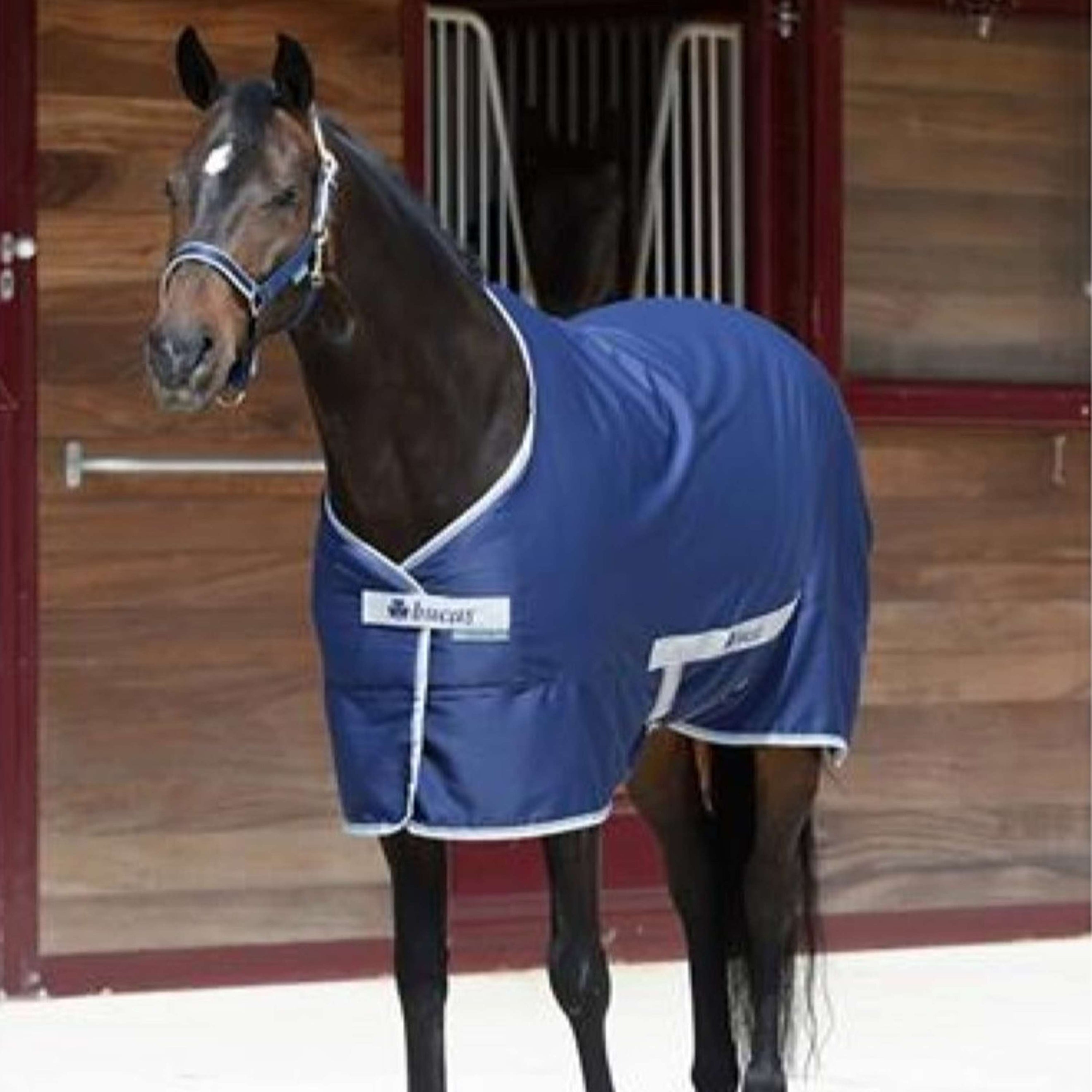 Bucas Twill Sheet Freedom 0g Navy Bucas Twill Sheet Freedom 0g Navy