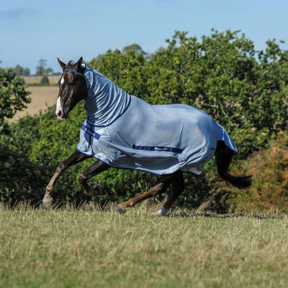 Bucas Buzz-Off Warmblut Neck Blau