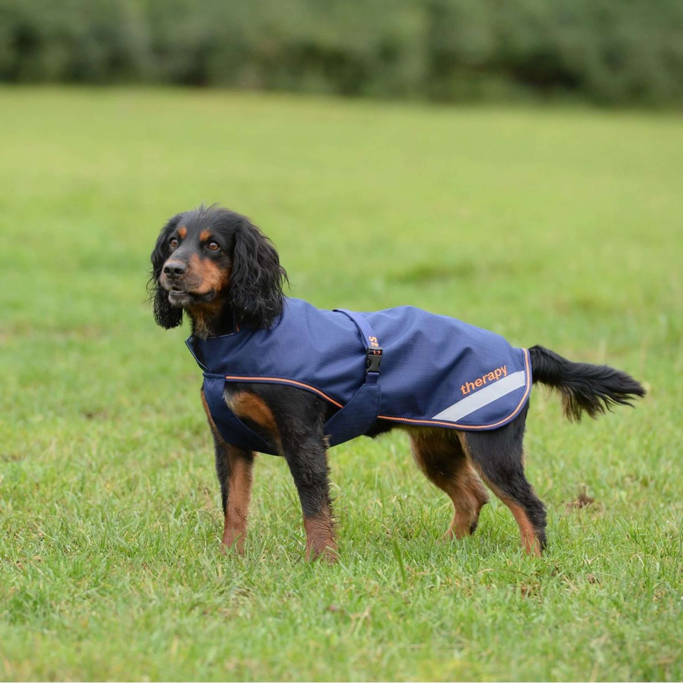 Bucas Therapy Dog Rug Navy Orange