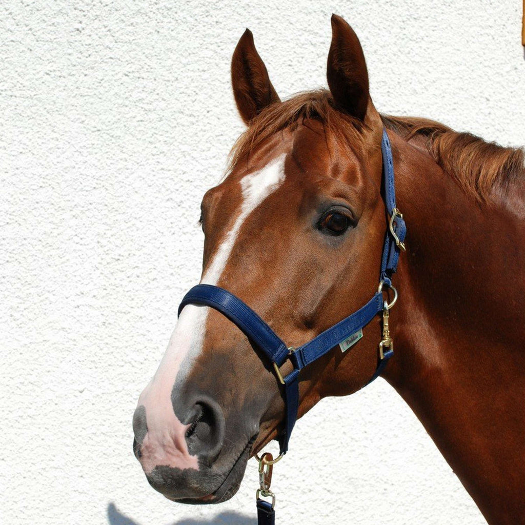Bucas Halfter Dublin Navy