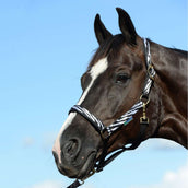 Bucas Halfter Dublin Foal Zebra