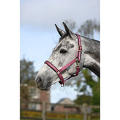 Bucas Halfter Dublin Fohlen Himbeerrot