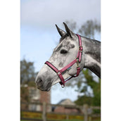 Bucas Halfter Dublin Fohlen Himbeerrot