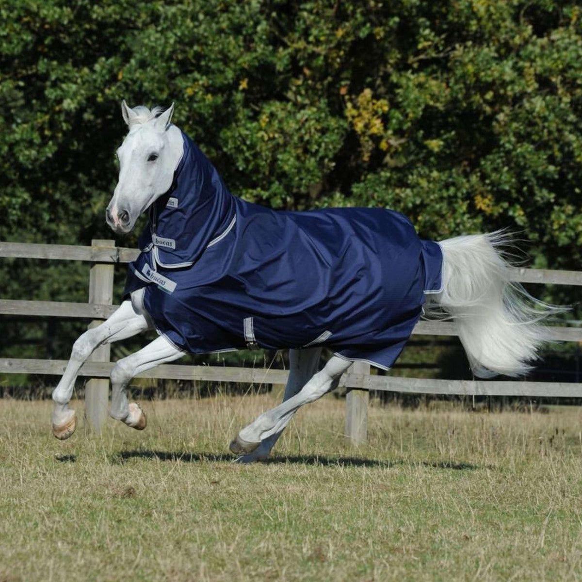 Bucas Freedom Turnout Full Neck 300g Navy/Silber