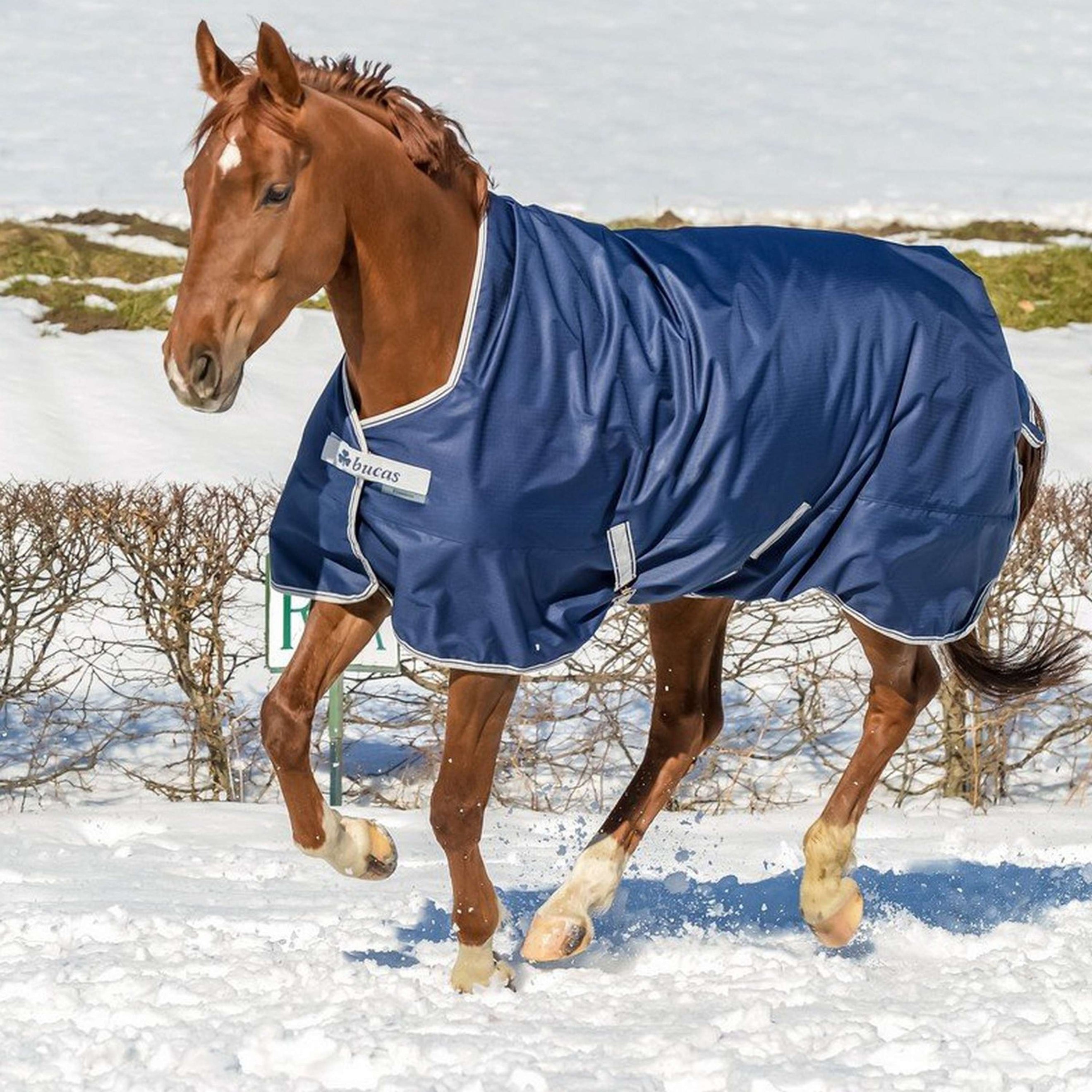 Bucas Freedom Turnout High Neck 0g Navy Bucas Freedom Turnout High Neck 0g Navy