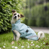 Bucas Freedom Dog Rug Turquoise