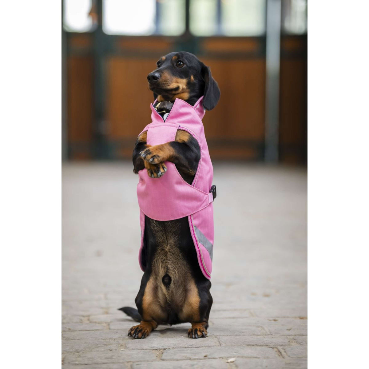 Bucas Freedom Dog Rug Aurora Pink