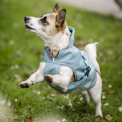 Bucas Freedom Dog Rug Turquoise