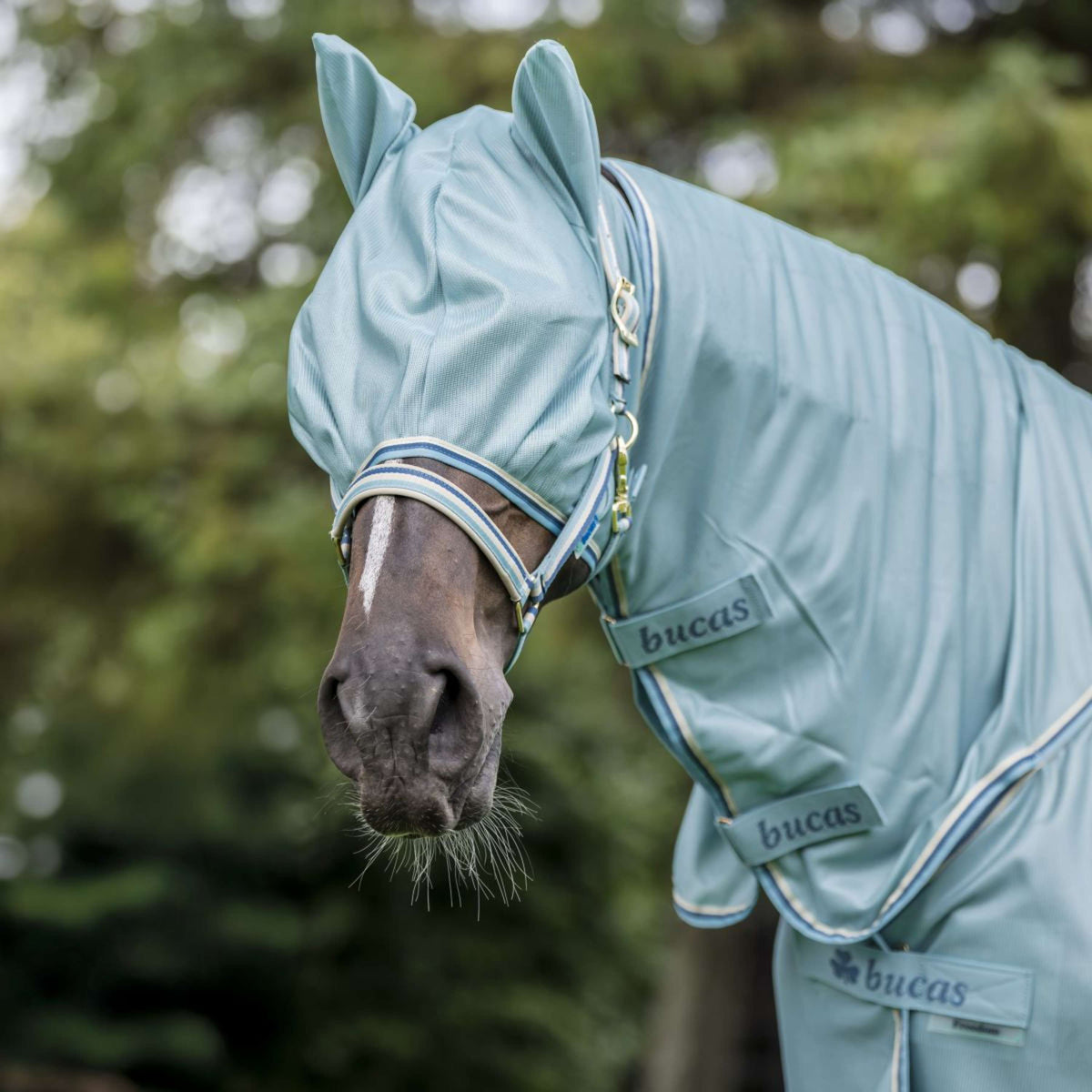 Bucas Freedom Vliegenmasker Turquoise