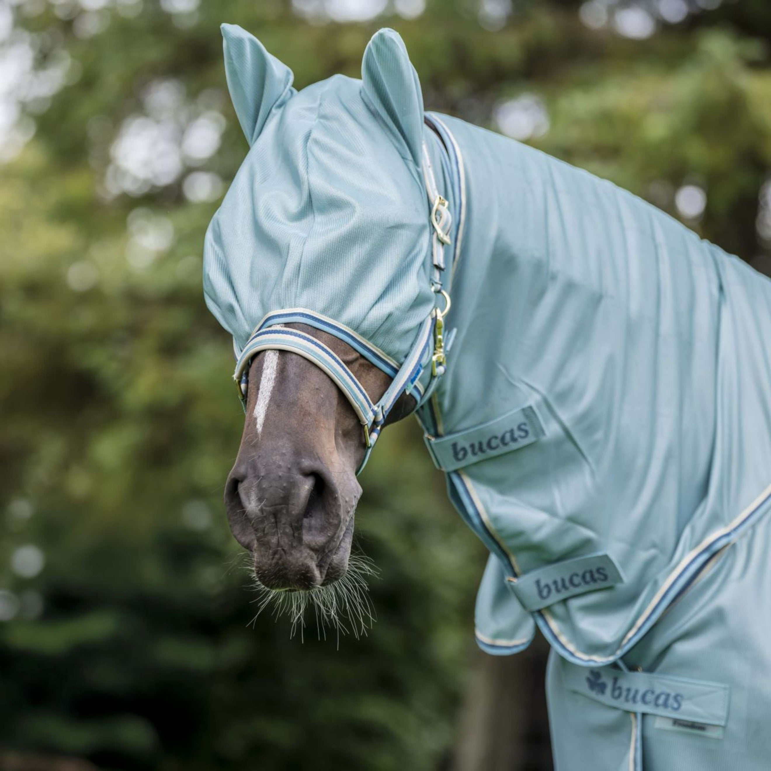 Bucas Freedom Vliegenmasker Turquoise