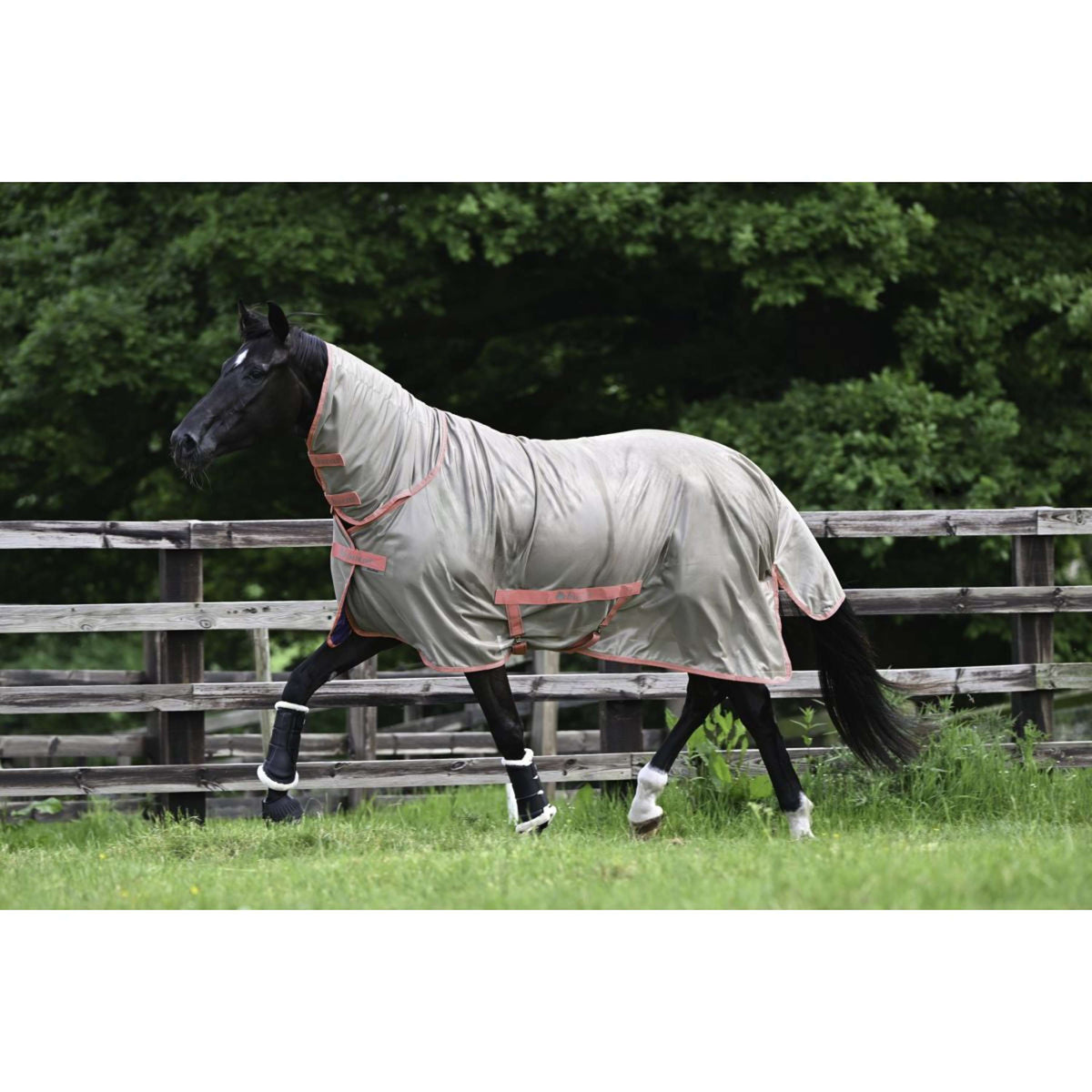 Bucas Freedom Fly Sheet Full Neck Hazelnut