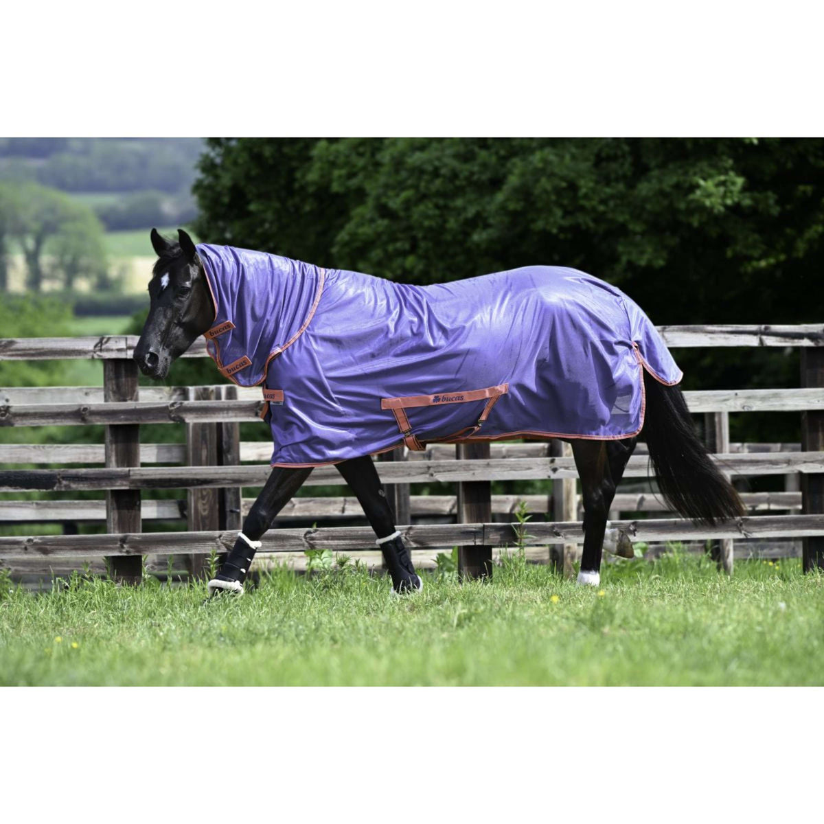 Bucas Freedom Fly Sheet Full Neck Navy Grape