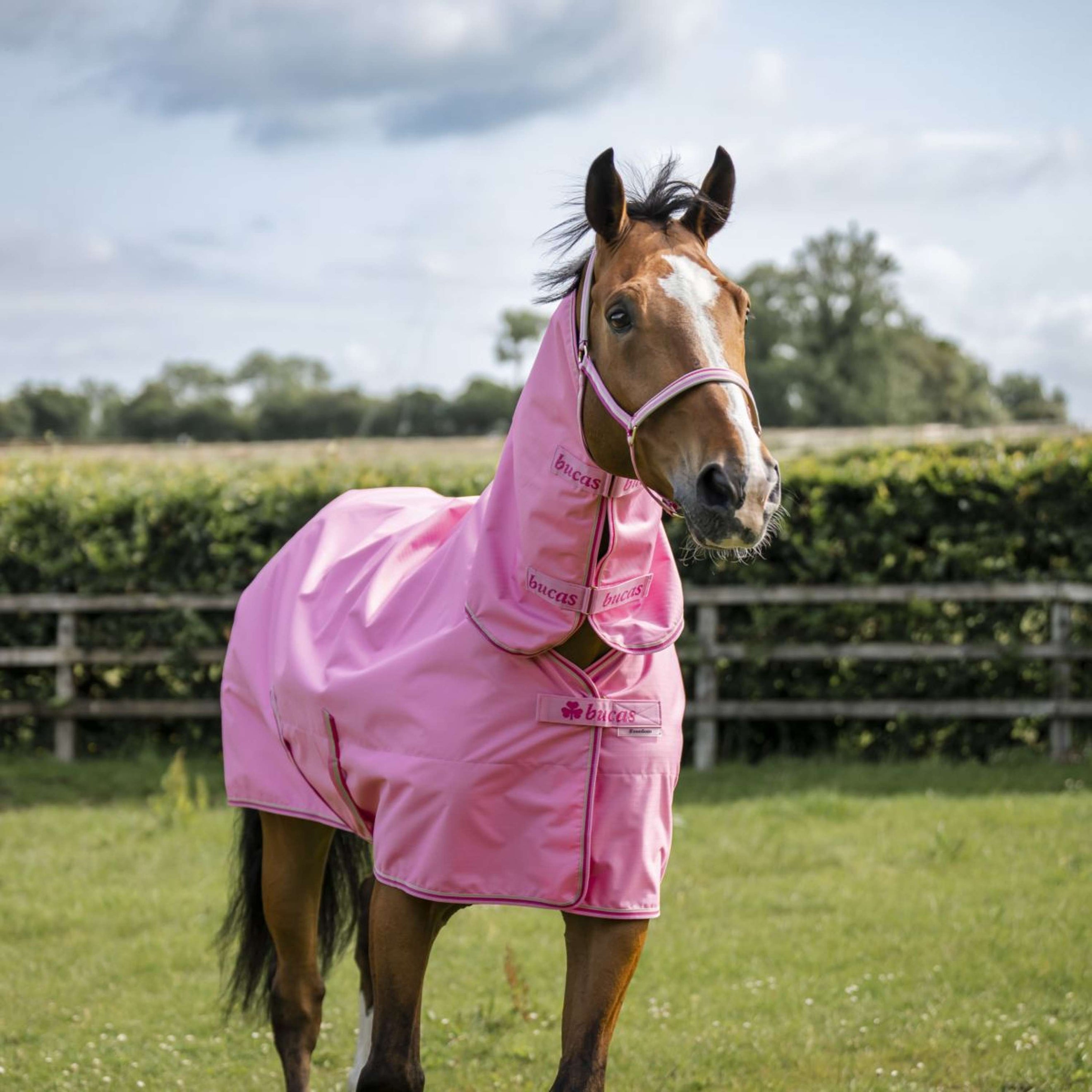 Bucas Freedom Turnout Full Neck 0g Aurora Pink Bucas Freedom Turnout Full Neck 0g Aurora Pink