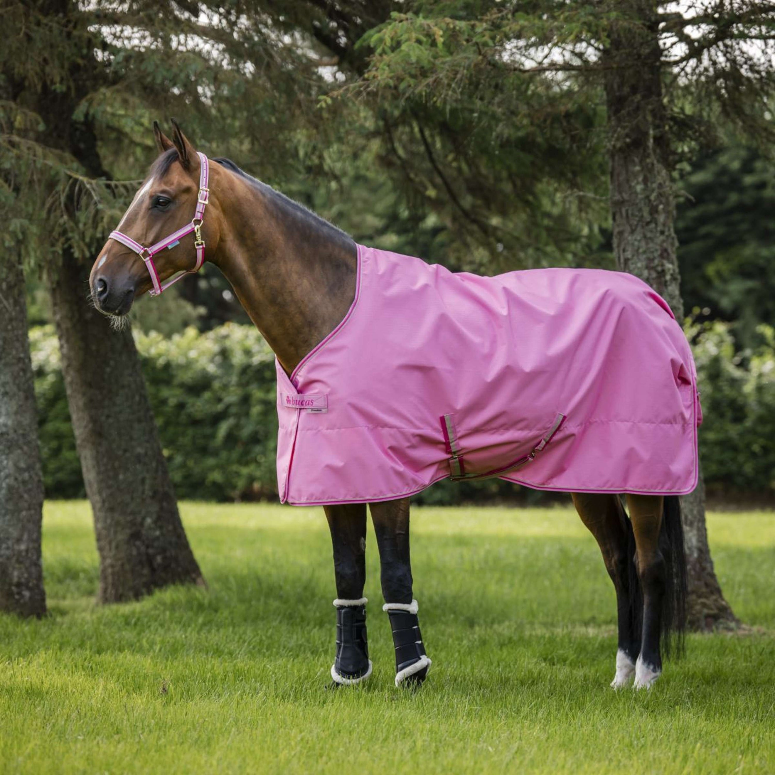 Bucas Freedom Turnout Light 0g Aurora Pink Bucas Freedom Turnout Light 0g Aurora Pink